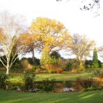 Chateau Hattonchatel