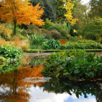 Chateau Hattonchatel