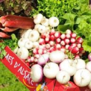 Fruits et L&eacute;gumes d'Alsace