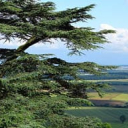 ITIN&Eacute;RAIRES TOURISTIQUES