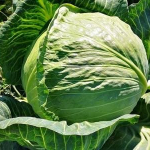 Maison de la Choucroute