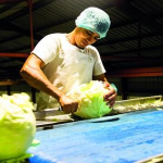 Maison de la Choucroute