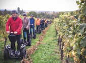 Oenotourismus Segway Alsace