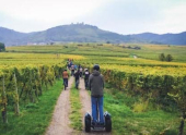 Oenotourismus Segway Alsace