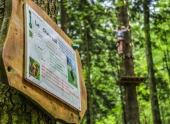 Parc Alsace Aventure