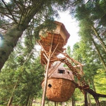 La Tribu Perch&eacute;e